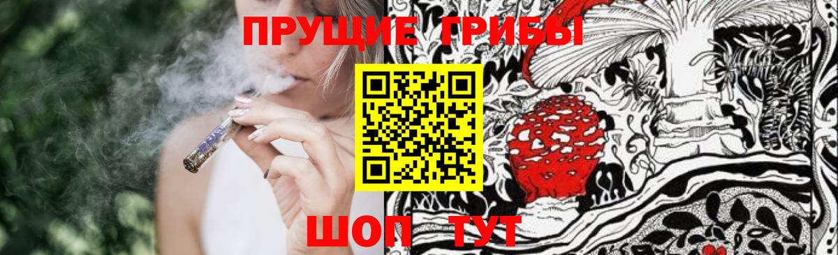 Псилоцибиновые грибы мицелий  Вход с VPN  Кубинка 